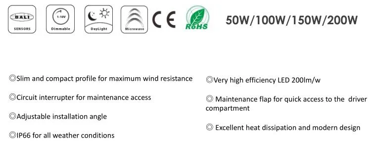 IP66 Ik10 Rated LED Traffic Light 50W-220W Energy-Saving LED Street and Roadway Lanterns